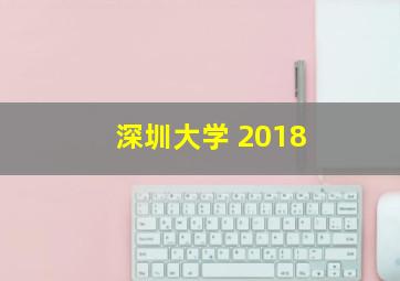 深圳大学 2018